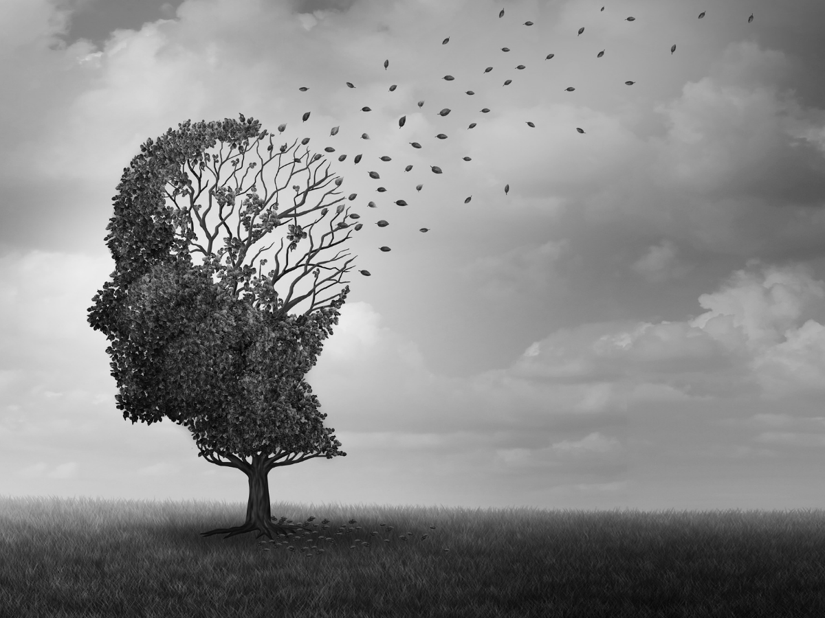 Menopause & Alzheimer’s | Vergo Woman Blog