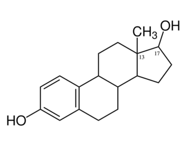 estrogen - estrogen